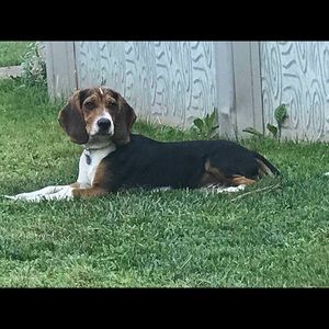 Meet your Posher, Janis